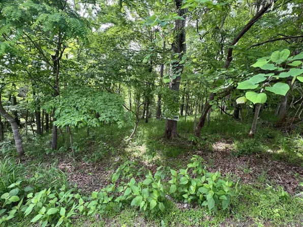 LOT 21 Twin Lake Dr, Bedford, VA 24523