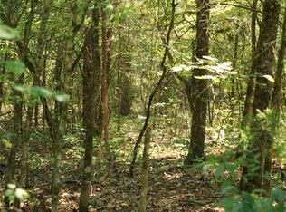 201 E Bo Peep Cir #104, Horseshoe Bend, AR 72512