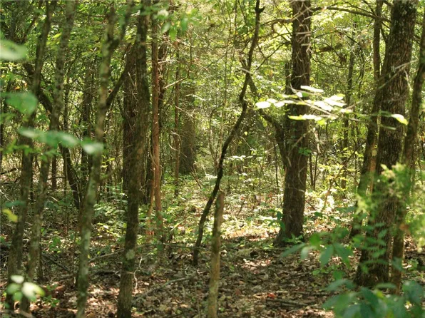 201 E Bo Peep Cir #104, Horseshoe Bend, AR 72512