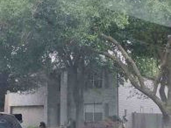 Property Side View