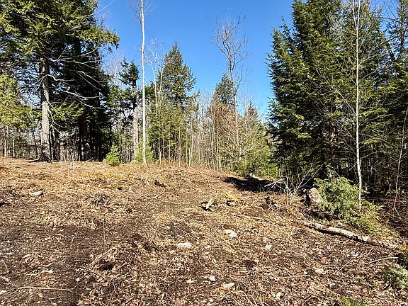 3rd image of Map8Lot53B Buckfield Road