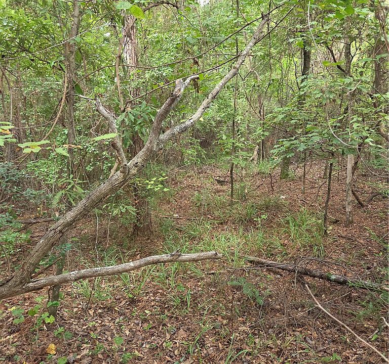 2nd image of 0 Lee Road 27