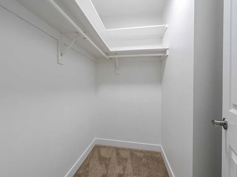 Renaissance — Photo 10