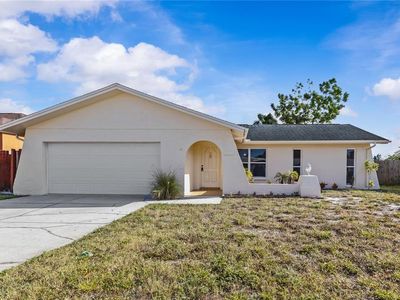 3220 Holiday Lake Dr, Holiday, FL, 34691