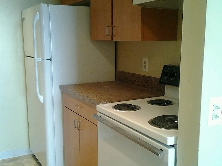 Forest Place — Photo 17
