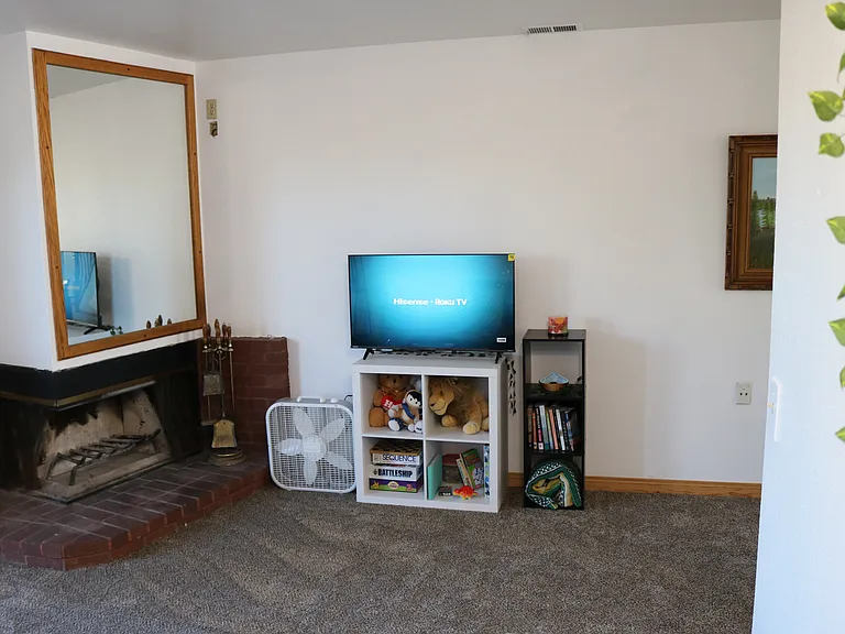 Living room area with entertainment center, fireplace, books and games.