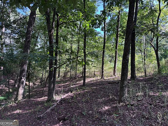 5th image of 8126 Skitts Mountain Rd