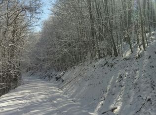 108 Red Fox Ln, Banner Elk, NC 28604