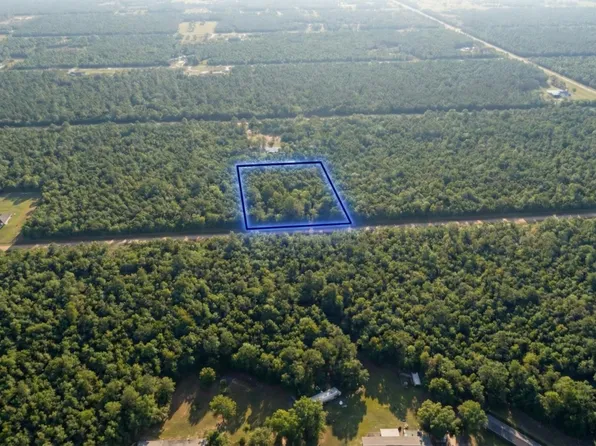 10655 Turpin Avenue, Hastings, FL 32145