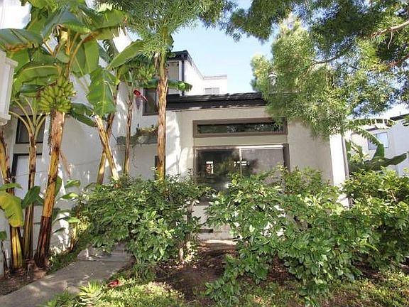 Tropical Front Entry