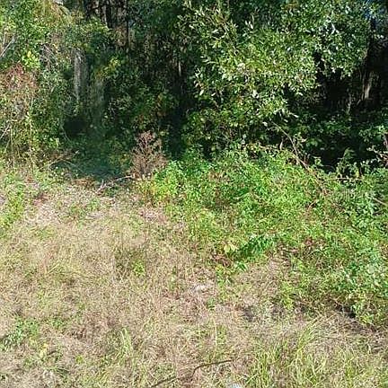 3rd image of AVENUE O LOT 17
