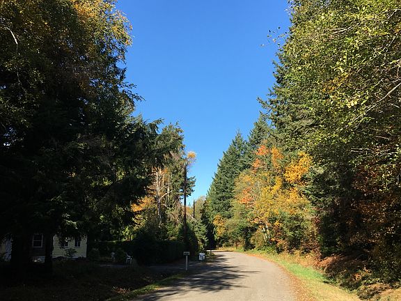 Moose Trail. Peaceful