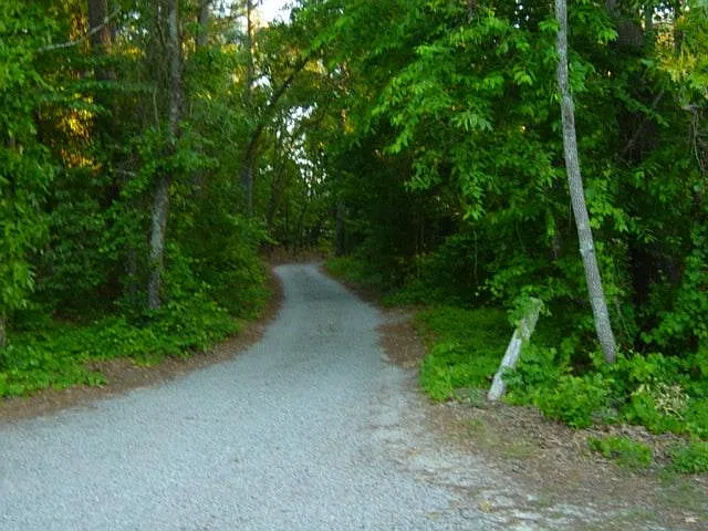 305 Braden Rd #3 — Photo 3