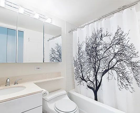 5th image of 1 Irving Pl APT U8g