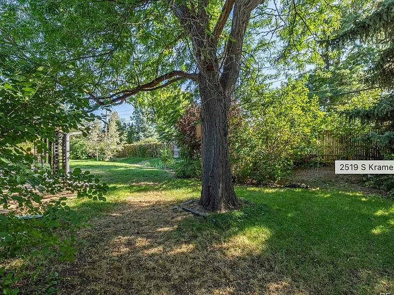 Shared backyard.