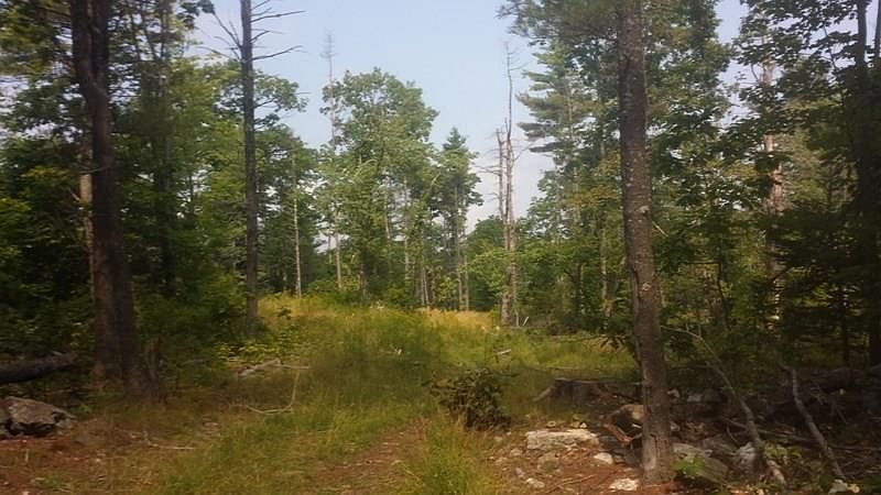 2nd image of 0 Bens Hill Road