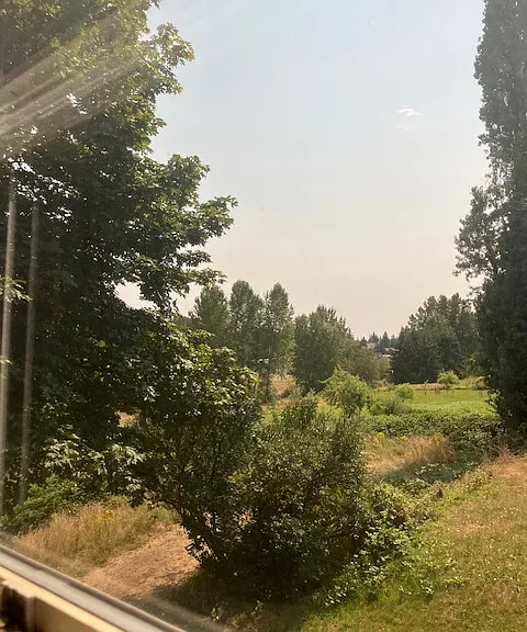 View from bedroom window...