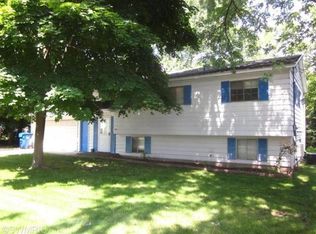 1102 Orange St, Greenville, MI 48838