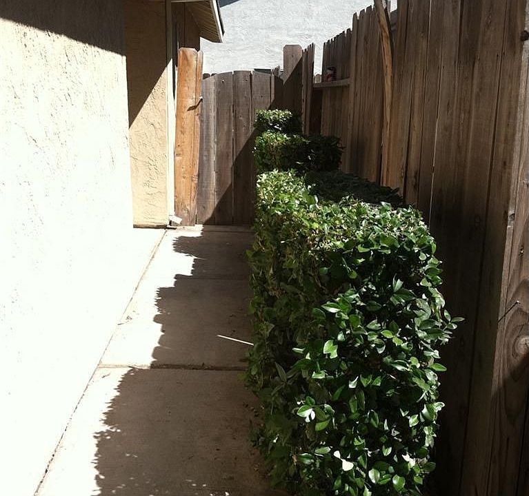 2nd image of 1224 Shasta Ave