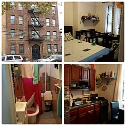 Rented by Blue Point NYC
