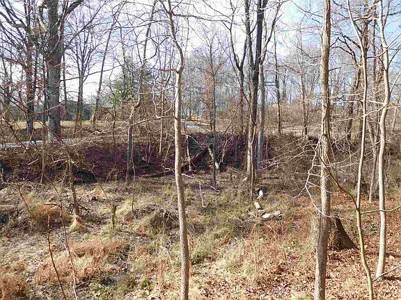 5th image of 14400 Honeysuckle Dr