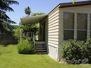Live Oak 015