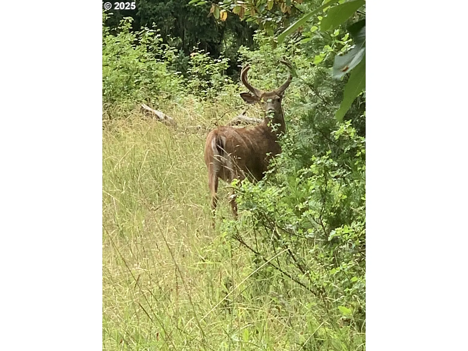 0 Raspberry Way photo 1