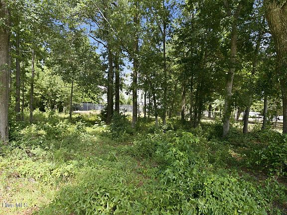 5th image of 1021 Saltspray Lane LOT 24