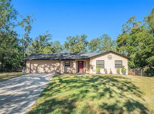3208 King William Cir, Seffner, FL 33584