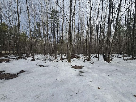 4th image of Rabbit Trl #5