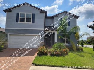 19271 Mossy Pine Dr, Tampa, FL 33647