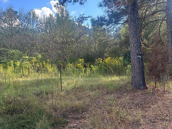 5th image of 0 N Enoch Grove Rd