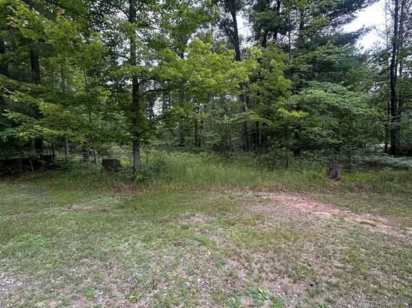 0 S Forest Lake Dr, Alger, MI 48610