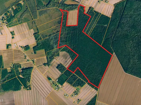 0 Mills Road, Columbia, NC 27925