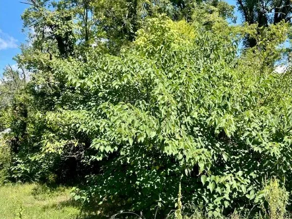 2625 Andrews St, Chattanooga, TN 37406