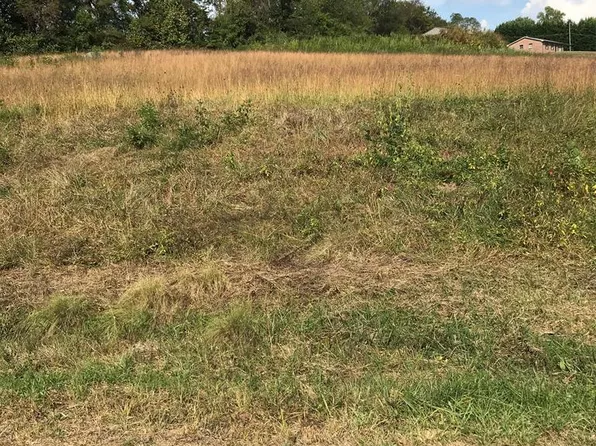 LOT 25 Christin Ln, Chilhowie, VA 24319