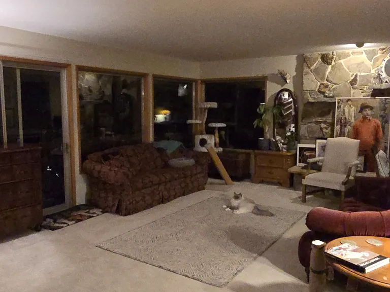 1460 Woodland Dr #5 — Photo 2