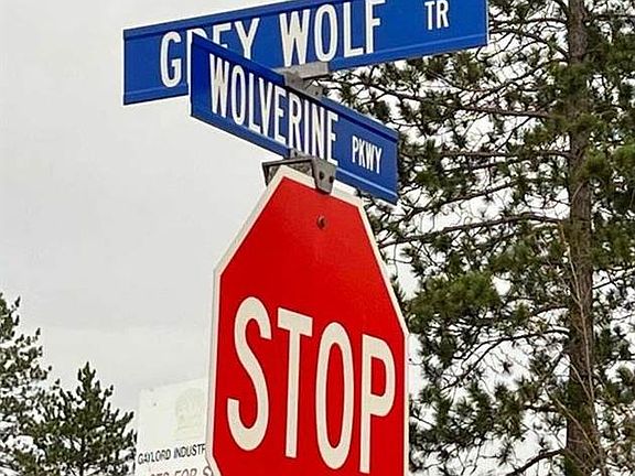 4th image of 2361 Grey Wolf Trl