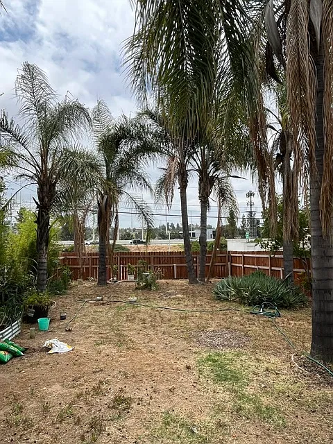 224 W Fernfield Dr — Photo 4