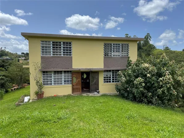 7780 Carr, Comerio, PR 00782