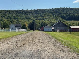 303 Wampole Run Rd, Dushore, PA 18614