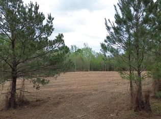 10 & 11 Highway 450, Franklinton, LA 70438