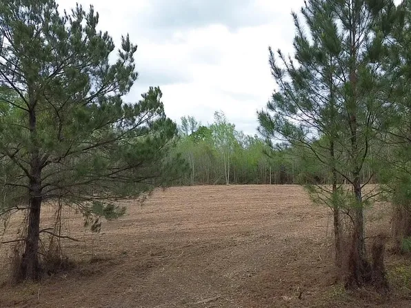 10 & 11 Highway 450, Franklinton, LA 70438