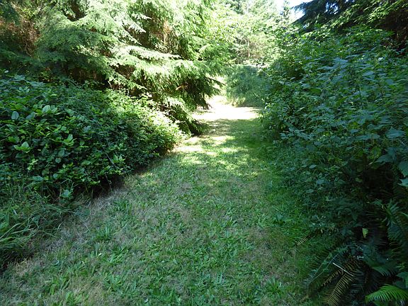 3rd image of 0 000 Hawkins Way