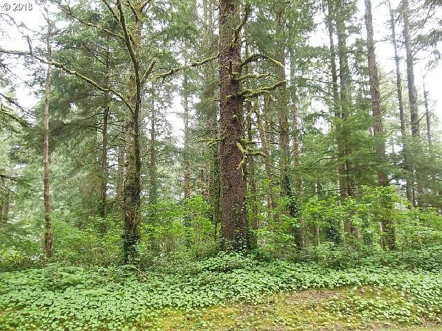 1st image of 105 Salishan