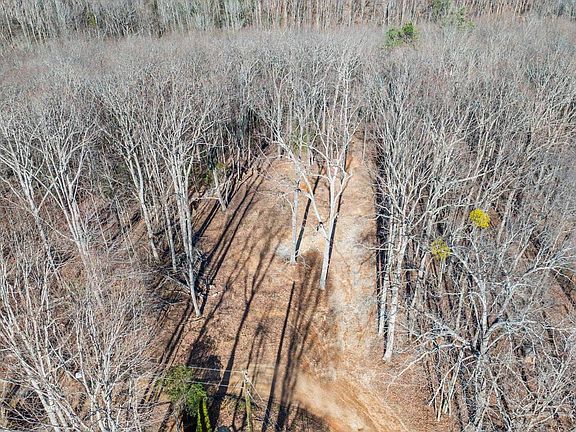2nd image of 314 Mountain Lake Ln