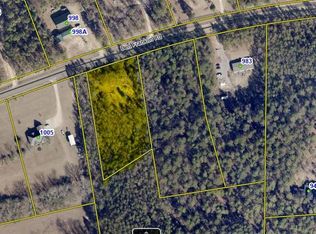 0 Ben Franklin Rd, Gilbert, SC 29054