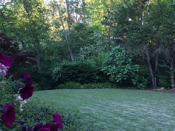 semi-private, flat backyard