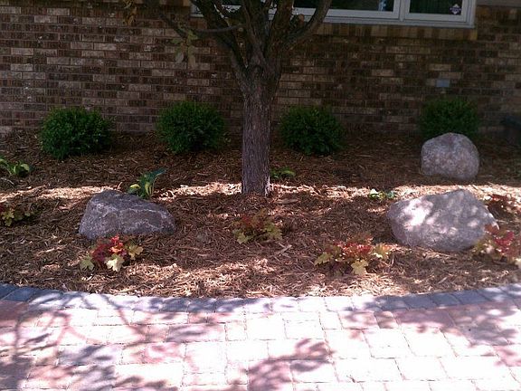 Landscaping - Front of House