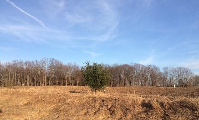 1st image of Hicks # Parcel #2